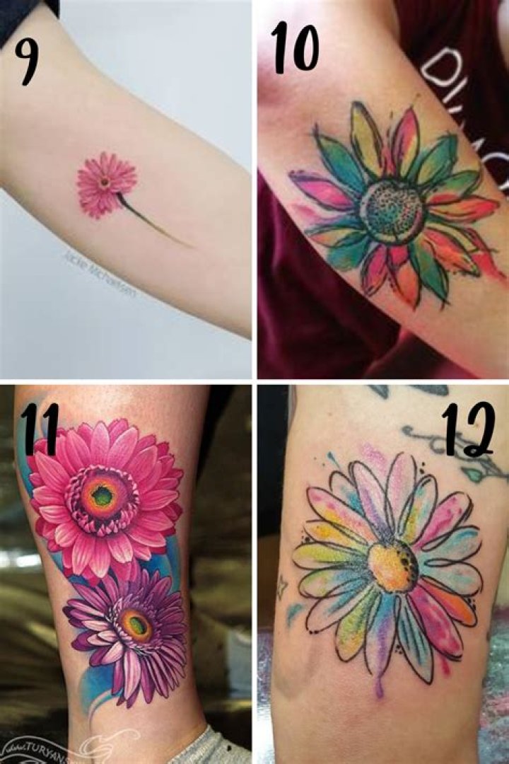 12 Pretty Daisy Tattoo Designs You May Love Pretty Designs