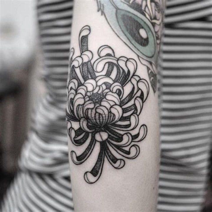 120+ Cool Chrysanthemum Tattoo Designs With Meanings (2021