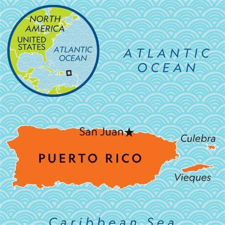 🇵🇷 Sazón De Puerto Rico's / Official Web Site 🇵🇷