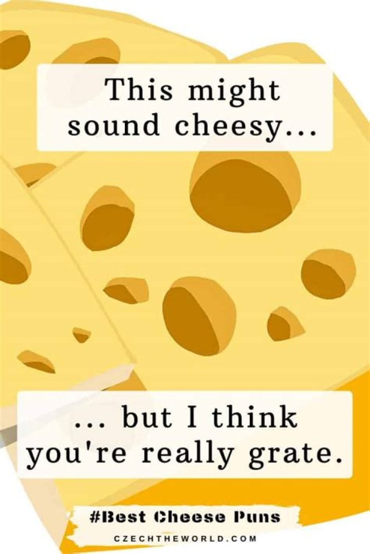 153 Best Cheese Puns That Are Simply Brielliantly Funny