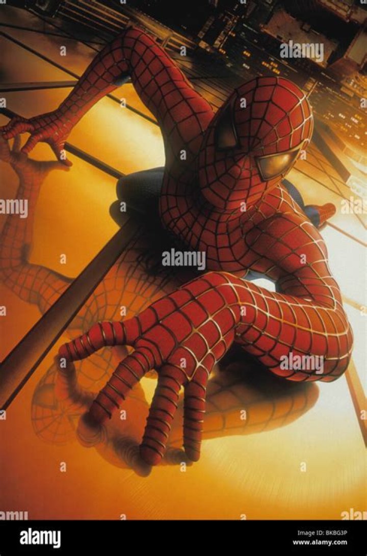 2002 Spiderman Poptart Marvel Merchandising fanexplain