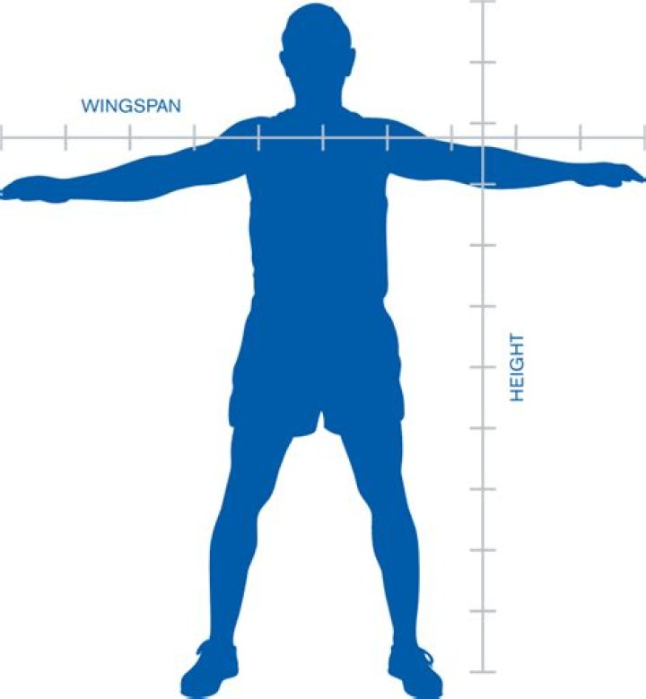 24 Foot Wingspan Of The World's Biggest Bird Ever That Flew