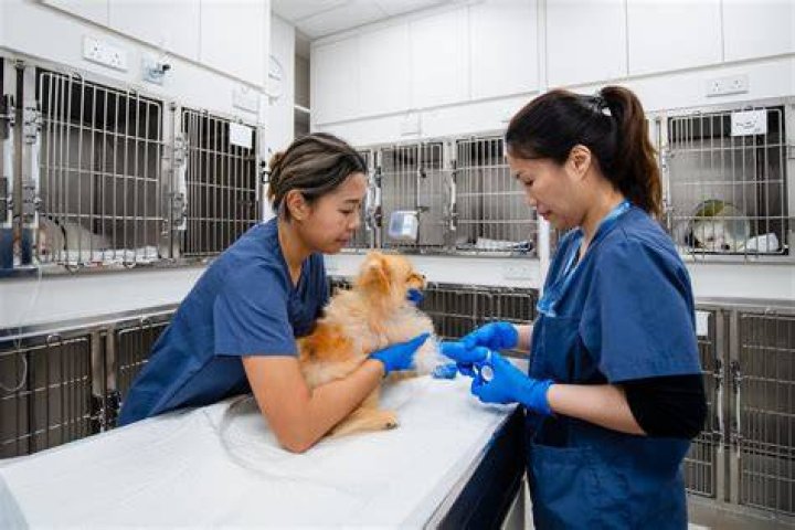 24 hour vet hospital cleveland ohio