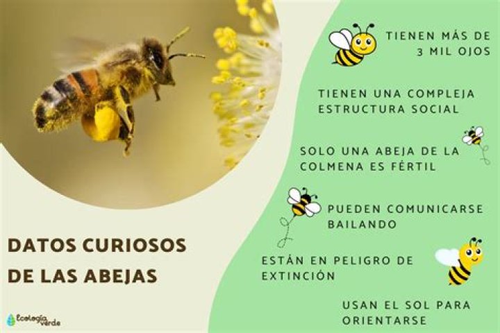 3 datos curiosos de la vida personal de Paula Newsome, la actriz de