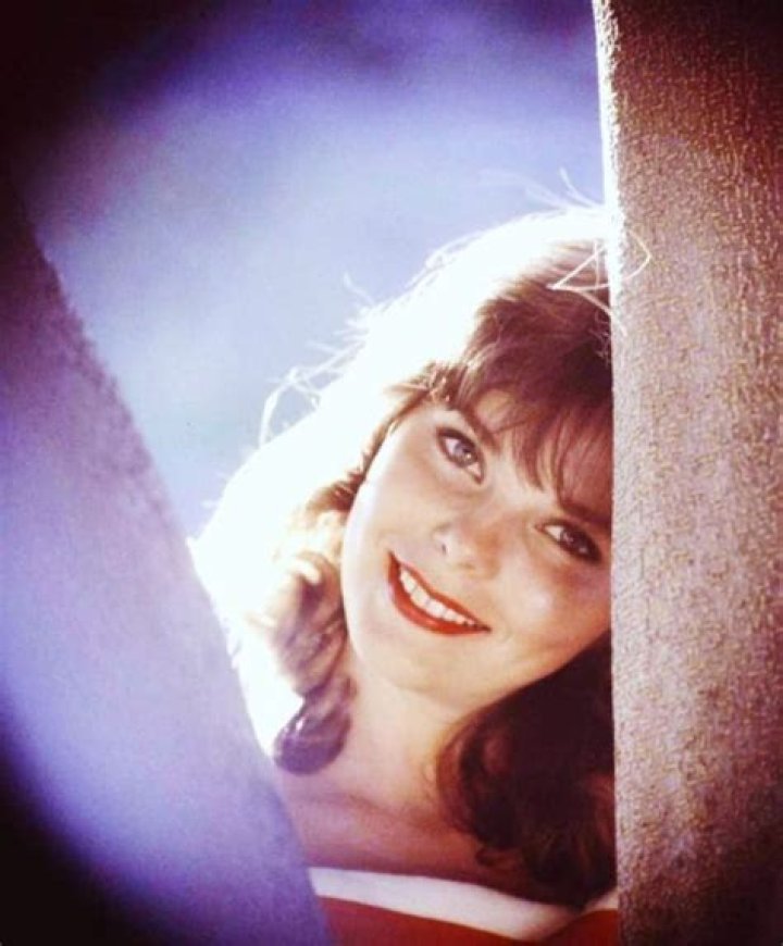 30 Glamorous Photos of Anne Helm in the 1950s and &rsquo;60s Vintage Everyday
