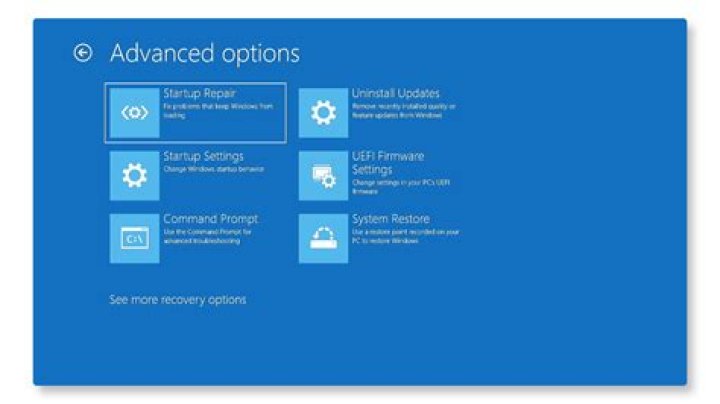 5 Options and Help