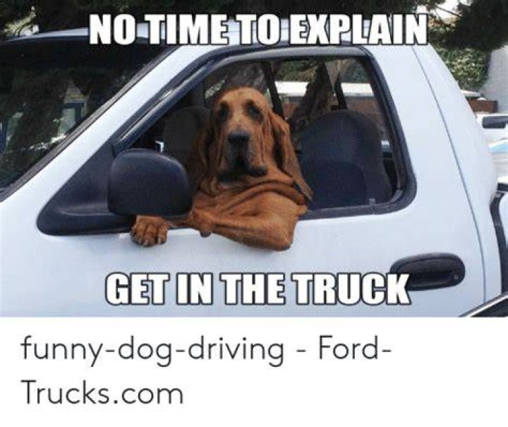 50 Top Ford Meme That Make You So Much Laugh QuotesBae
