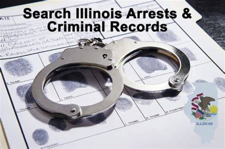 ᐅ Illinois Criminal Records 20092022