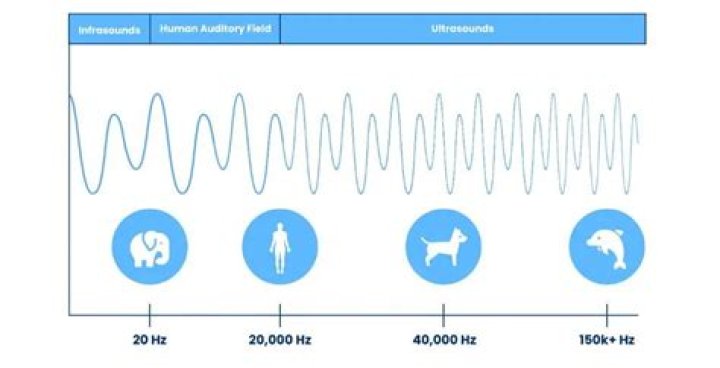 60 Hz Hum Harmonics