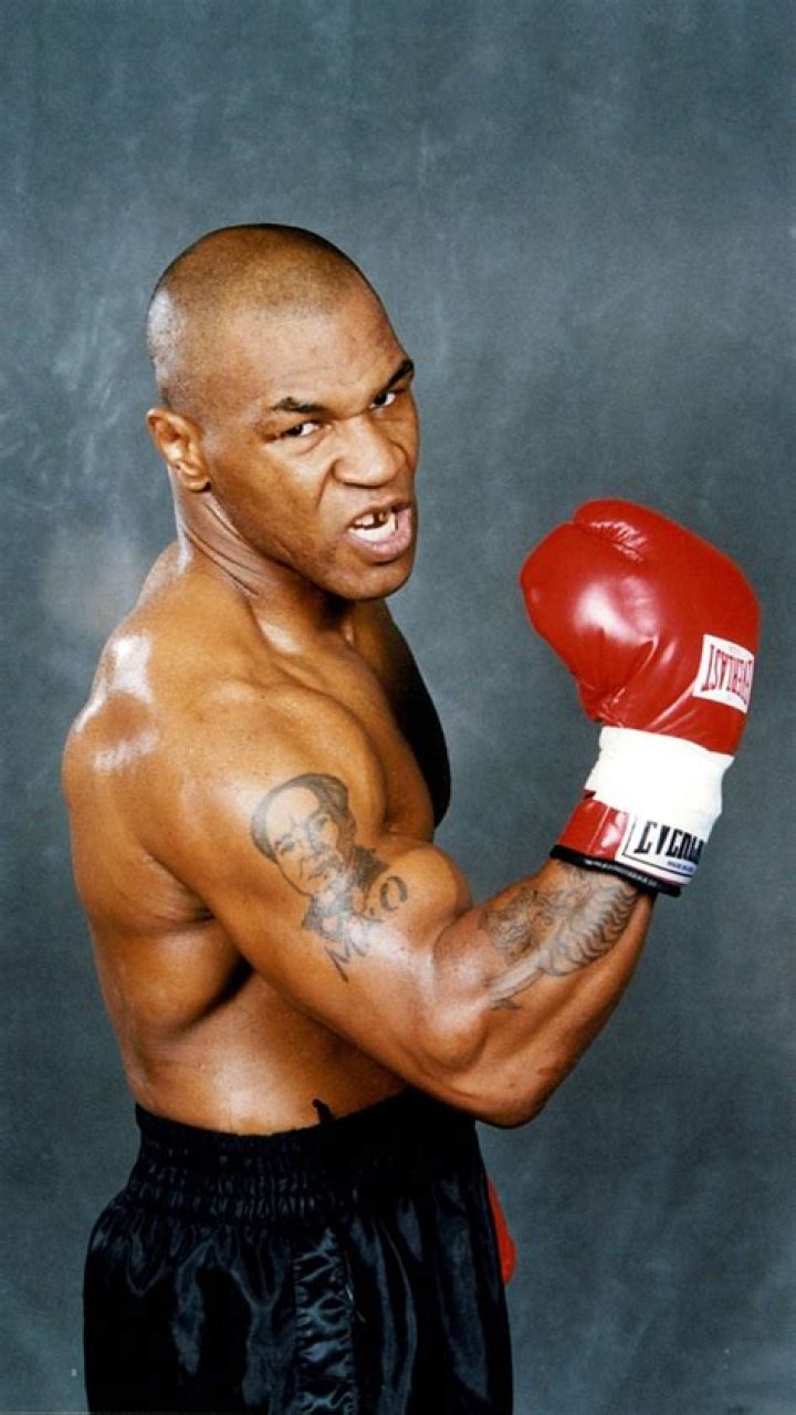 646 Mike Tyson Images, Stock Photos & Vectors Shutterstock