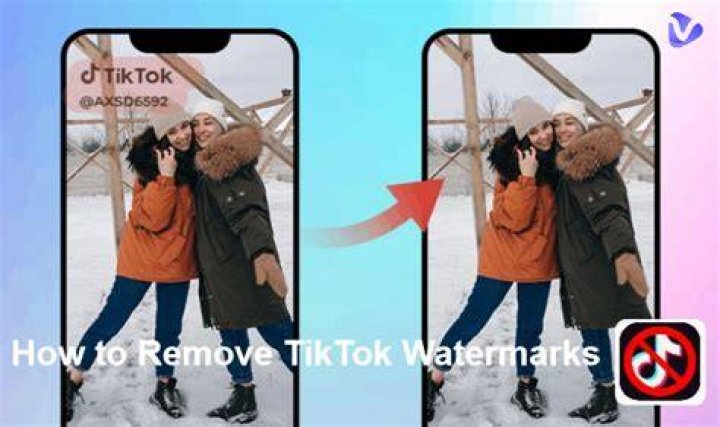 7 Best TikTok Watermark Remover Apps [For Any Device]