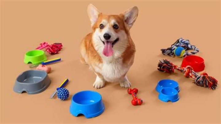 8 Simple Techniques For Pet Blankets