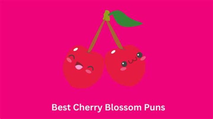80+ Best Cherry Blossom Puns