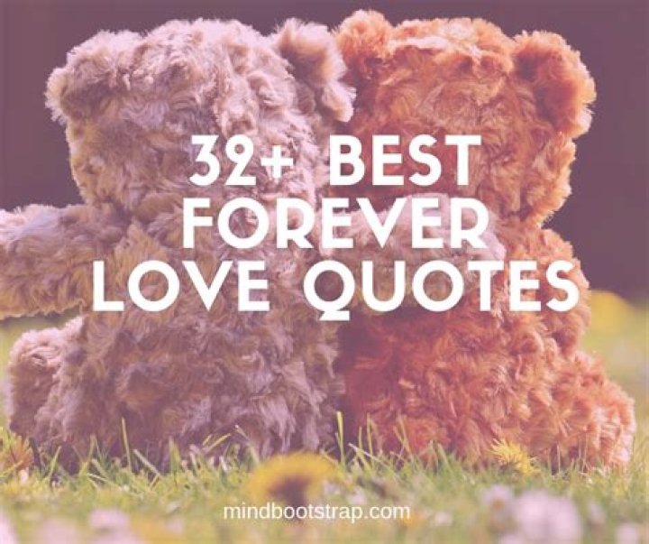92 Forever Love Quotes To Make You Feel In Every Breathe DP Sayings