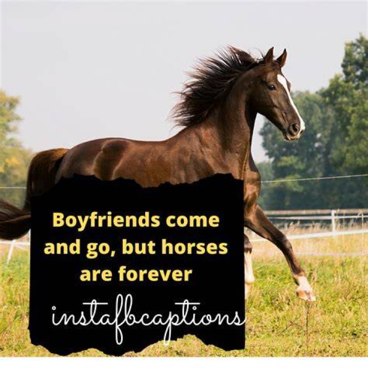 96 Horse Riding Instagram Captions for Pictures with Horse in 2021