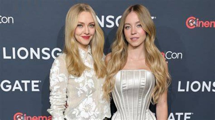 A Glance At Amanda Seyfried's Height: The Star Behind The Screen