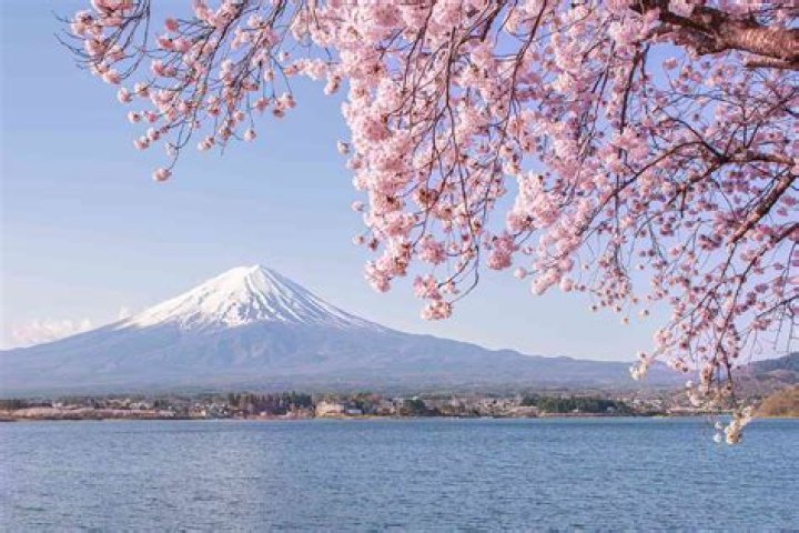 A Tribute to Beautiful Japanese Actress and Fashion Model Mirei