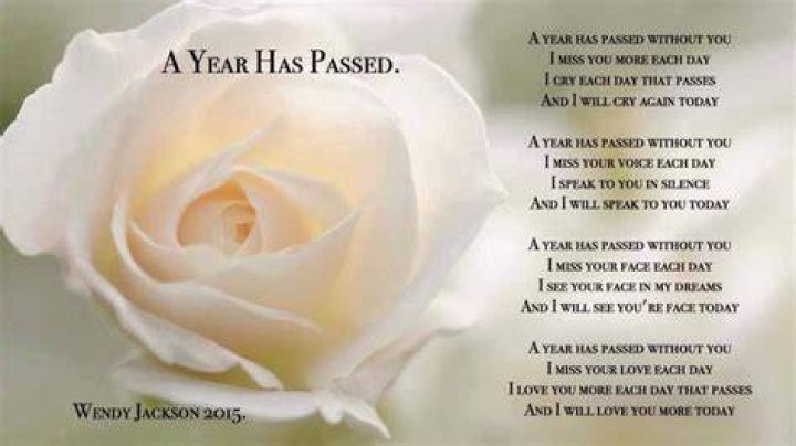 A year has passed without you Without you quotes, I miss your voice