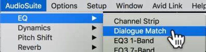 Accessing Dialogue Match