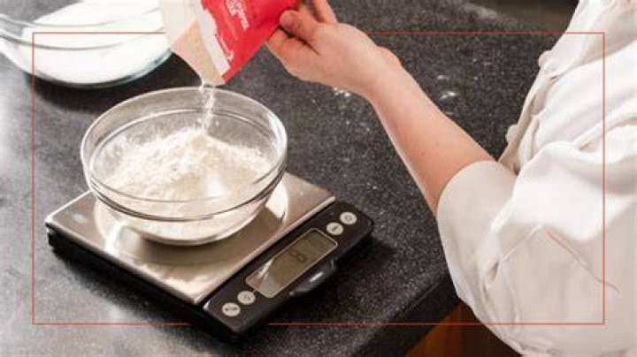 accurately measuring ingredients into a petri dish