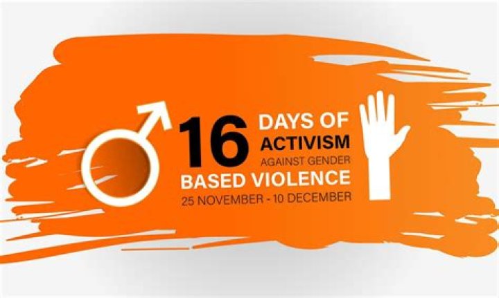 Activism, Flexhacks