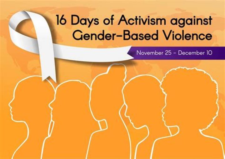 Activism, Gscsix