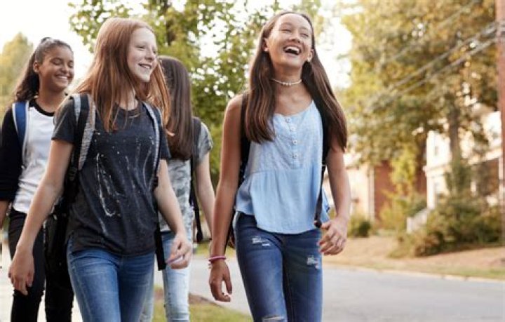 Adolescence, Fashytrend