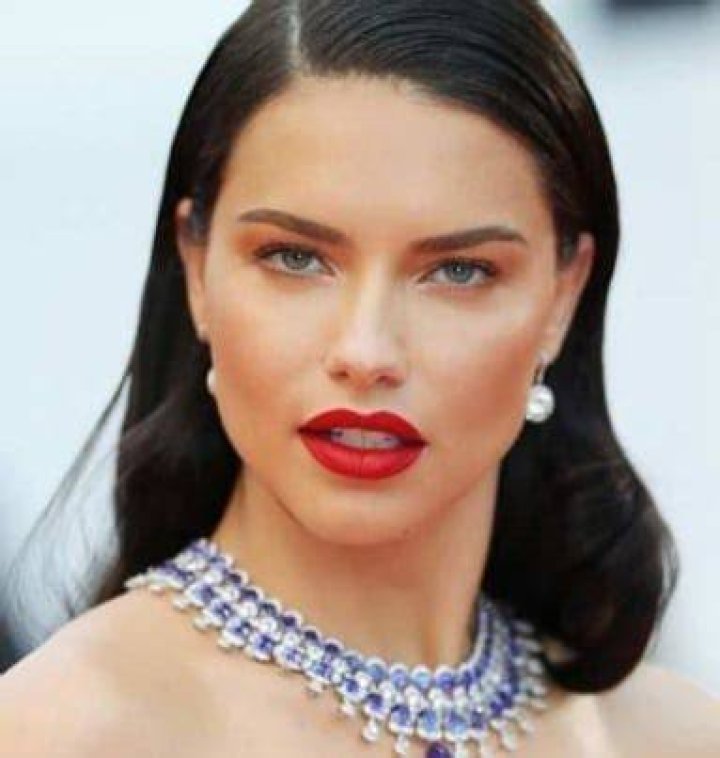 Adriana Lima Net Worth (2020 Update)