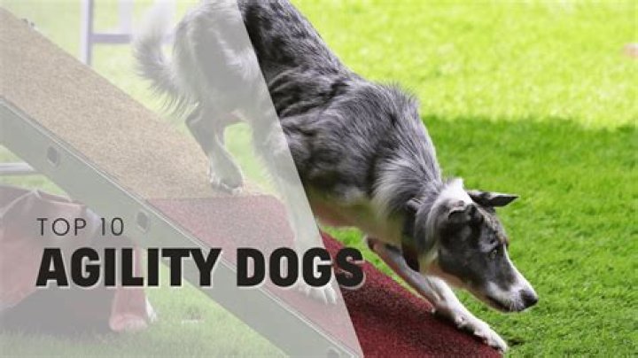 Agility, Gsctwo