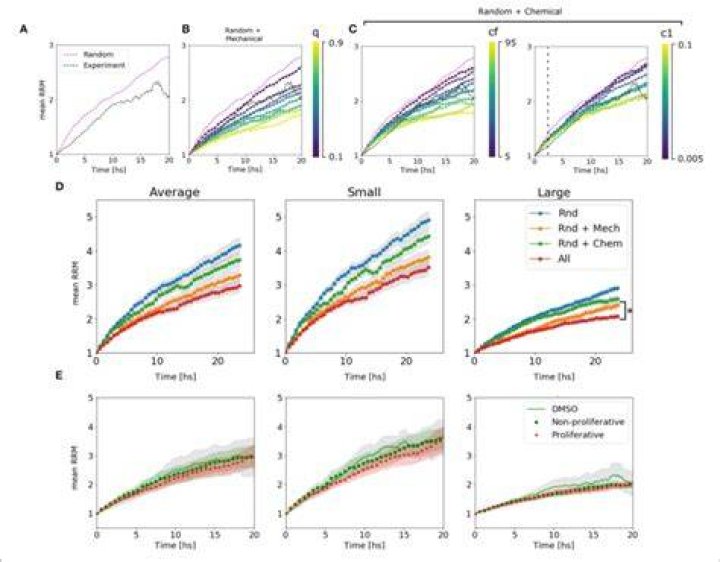 algorithm behavior
