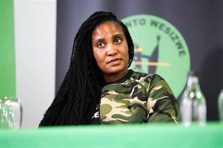 All You Need To Know About Duduzane Zuma's Maternal Parent