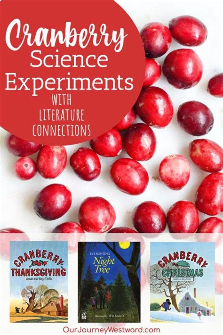 Almost Unschoolers More Cranberry Science for Children What Makes