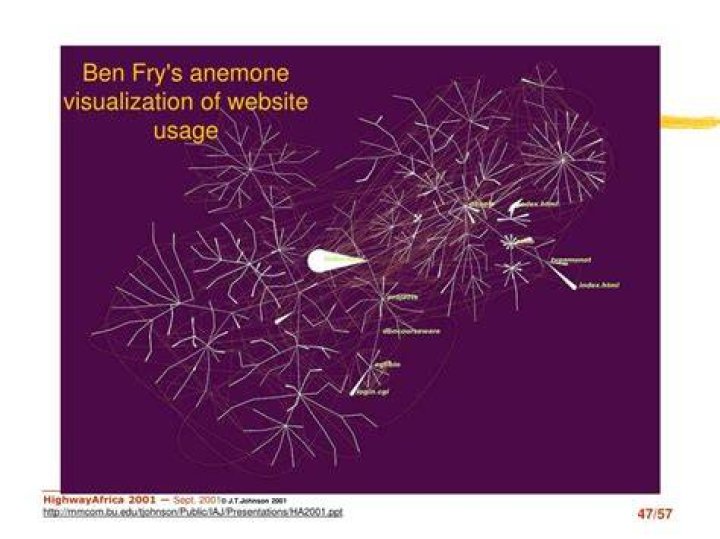 Anemone Visualization