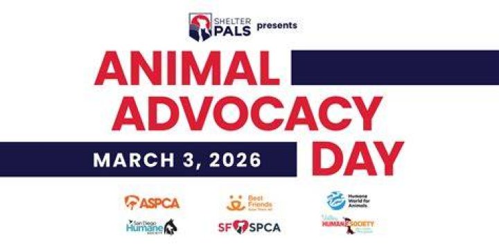 Animal Advocacy, Gscthree