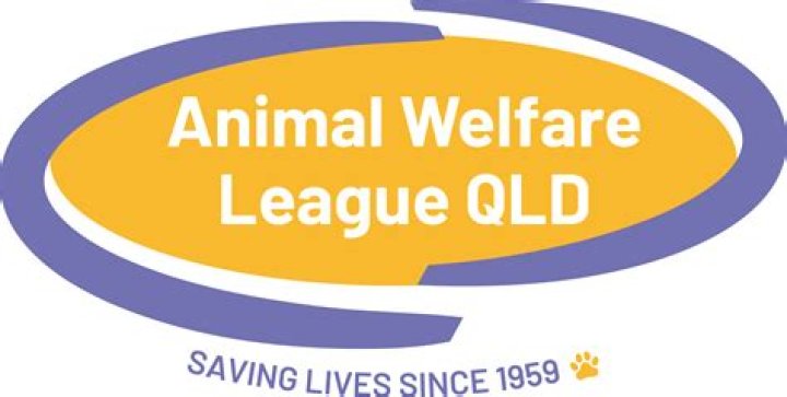 Animal Appeal, Gscseven
