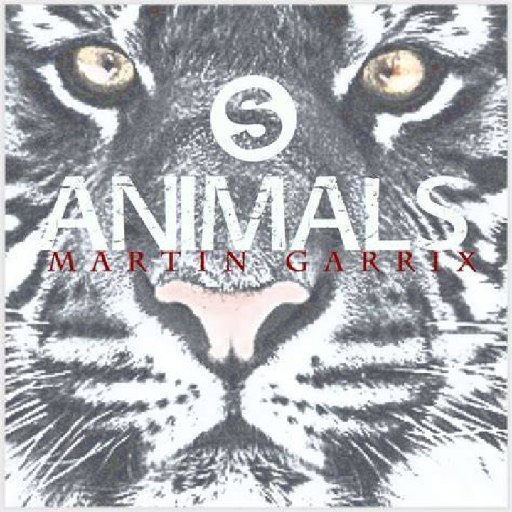 Animals by Martin Garrix on MP3, WAV, FLAC, AIFF & ALAC at Juno Download