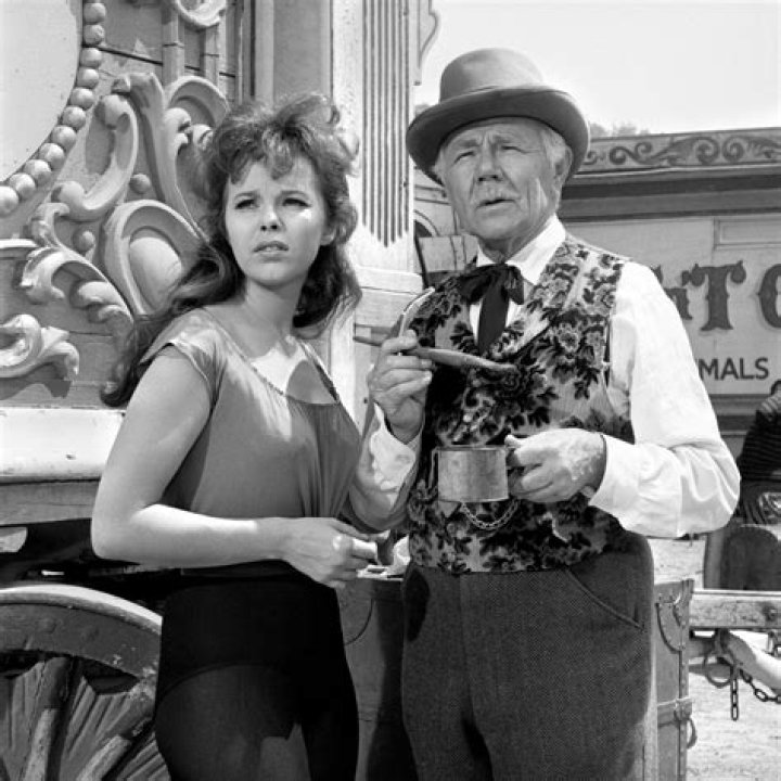 Anne Helm Life Story and Photos of Hollywood's Unsung Heroine and