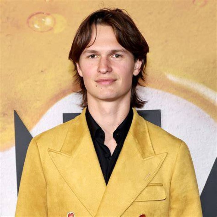 Ansel Elgort's Notable Performances On The Big And Small Screens