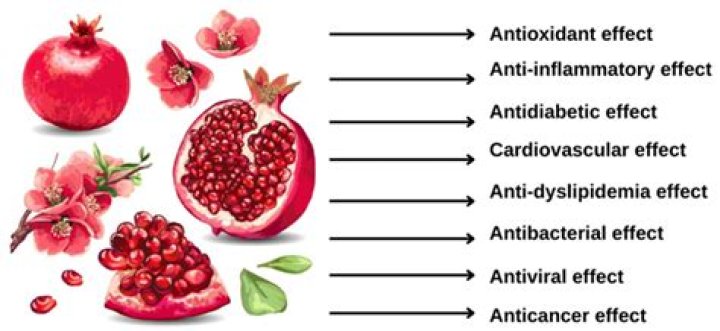 Antioxidant, Gscone