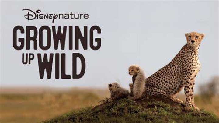 Antonio Pierce & Family Disneynature EARTH Premiere April &hellip; Flickr