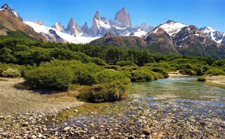 Argentina's President Javier Milei has an affinity for public displays