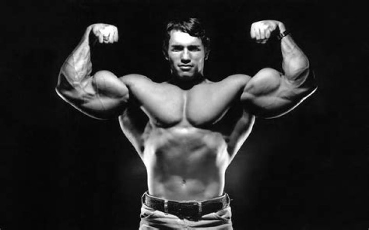 arnold schwarzenegger bodybuilding POSTER HD Wallpaper Background Fine