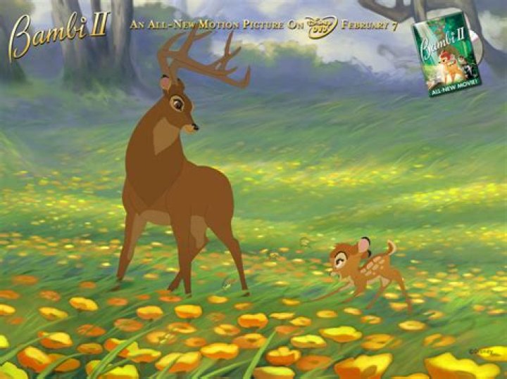 Bambi Bambi Image (5770161) Fanpop