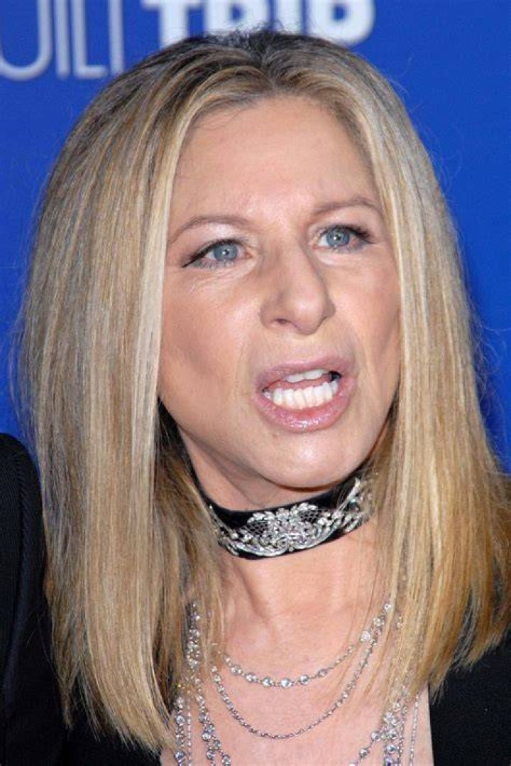 Barbra Streisand's Homeless Stepson Jess Brolin Mirror Online