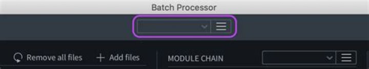 Batch Processor Preset Dropdown