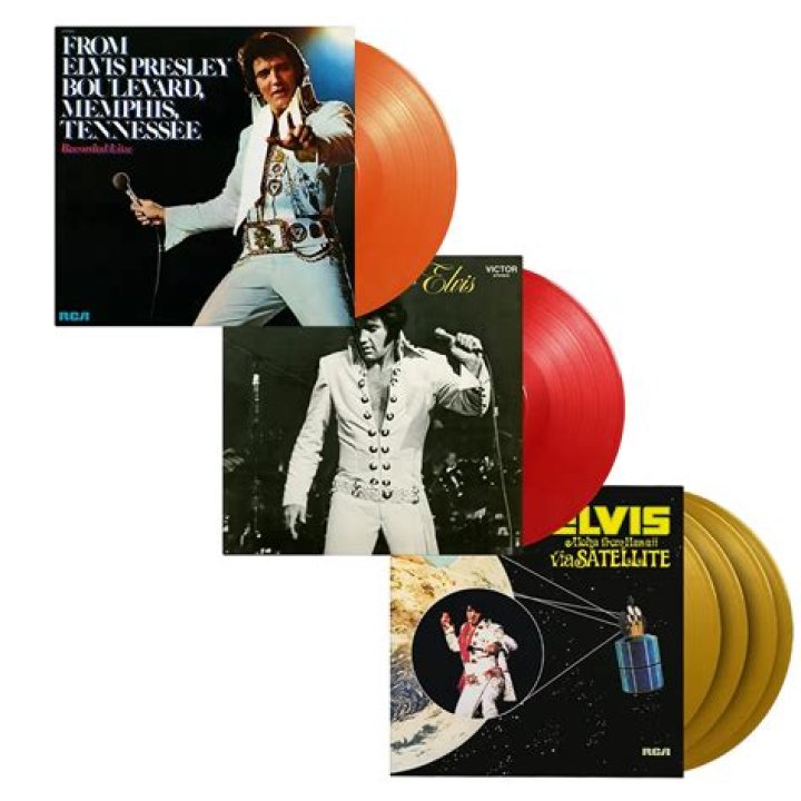 BB Chronicles Elvis Costello 19821006 Leeds, UK (FLAC)