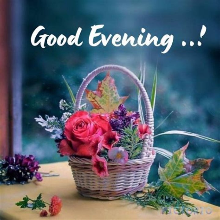 Beautiful Good Evening Images, Photos & Pictures Ideas 2021