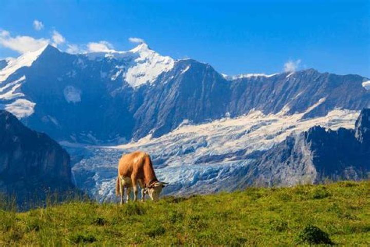 Best Places To Visit In February Triptyme