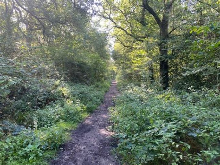 Binley Woods Park