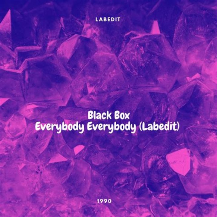 Black Box’sEverybody Everybody Lyrics